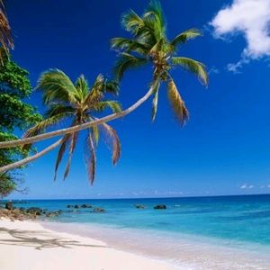 Meet your Posher, Waqa